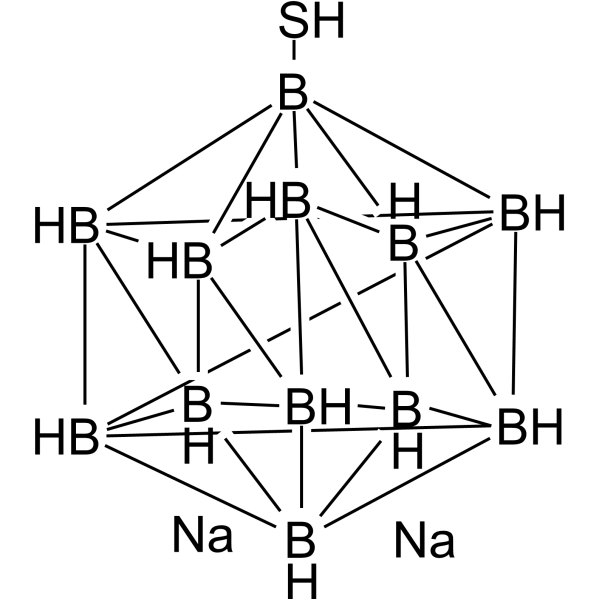 Borocaptate sodium 144885-51-8